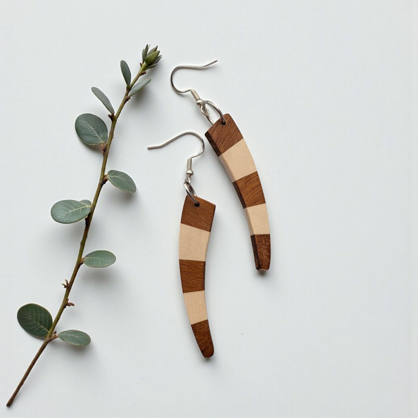 English Holly & Yellowheart Curve Earrings